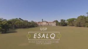 Read more about the article ESALQ-USP em Piracicaba é de 1901 e se tornou a 1ª faculdade da USP em 25 de janeiro de 1934