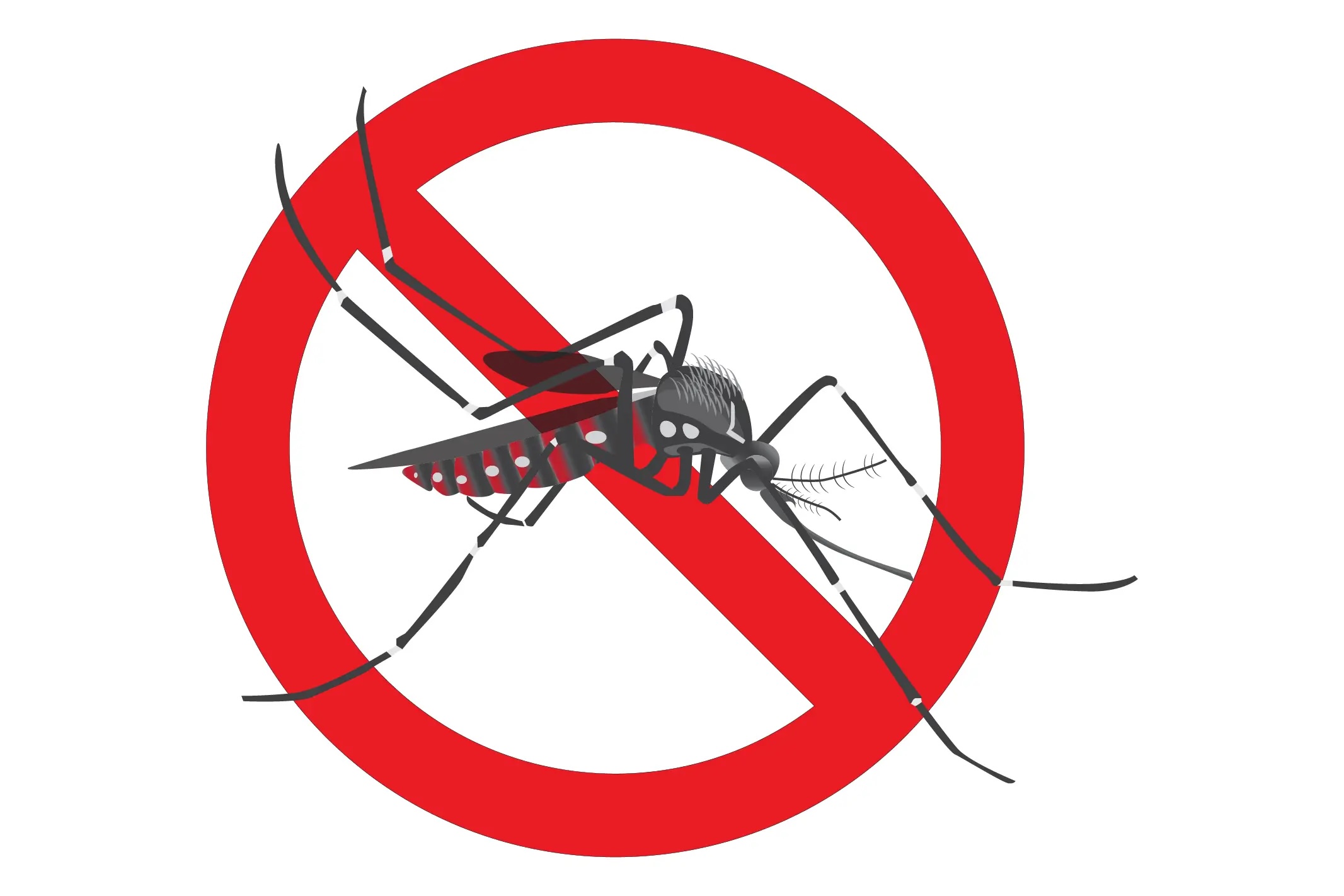 You are currently viewing Dengue 2024: Osasco registra a primeira morte pela arbovirose